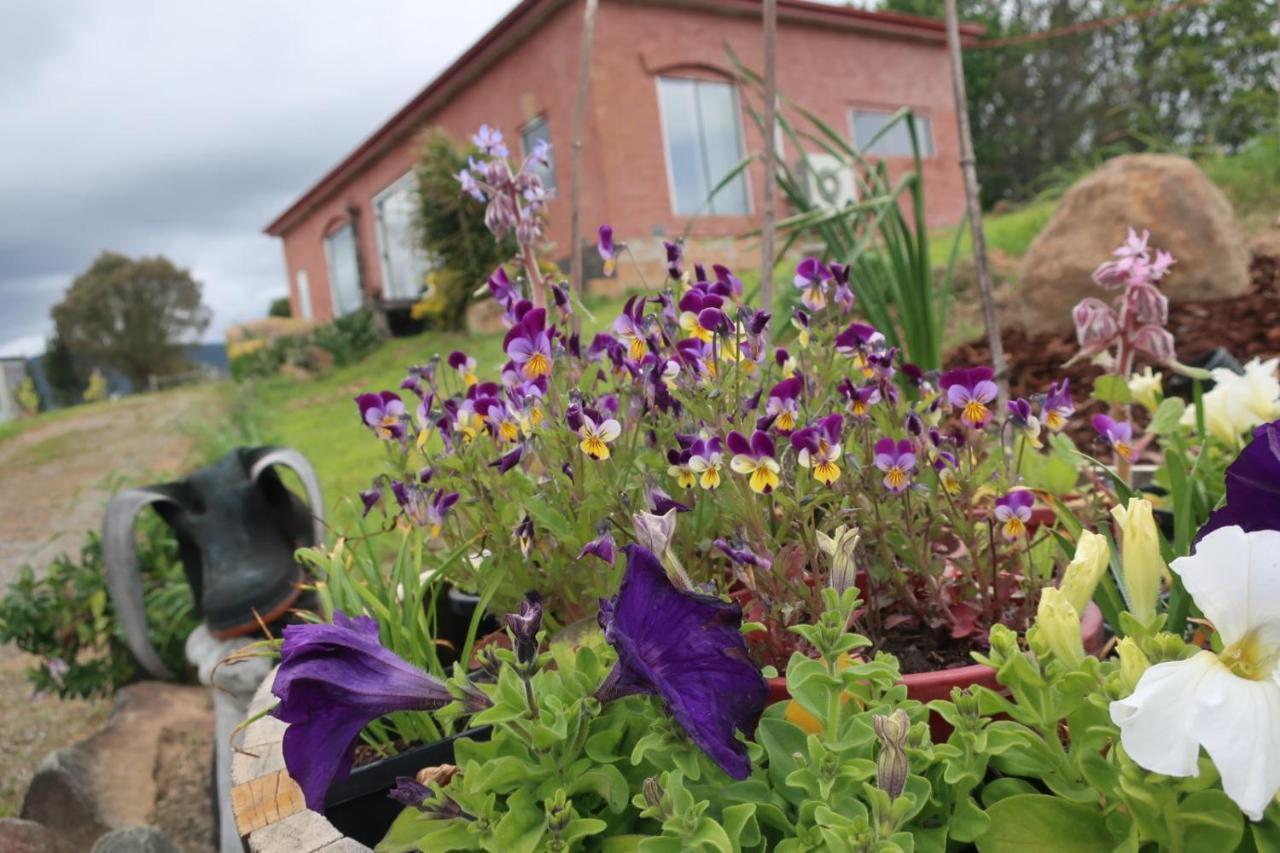 Cherry Top Farmstay - Boutique Eco Village Lilydale Kültér fotó