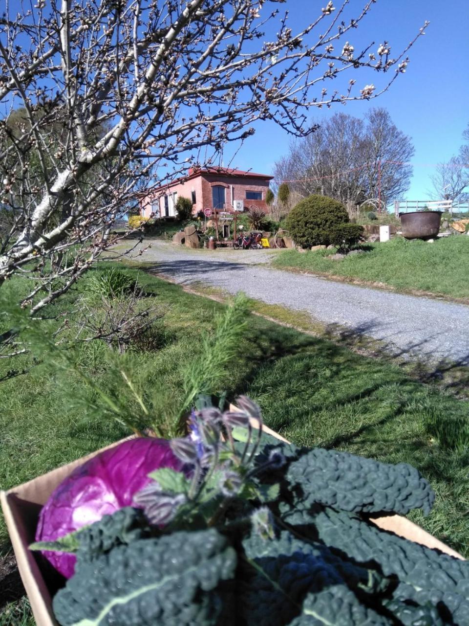 Cherry Top Farmstay - Boutique Eco Village Lilydale Kültér fotó