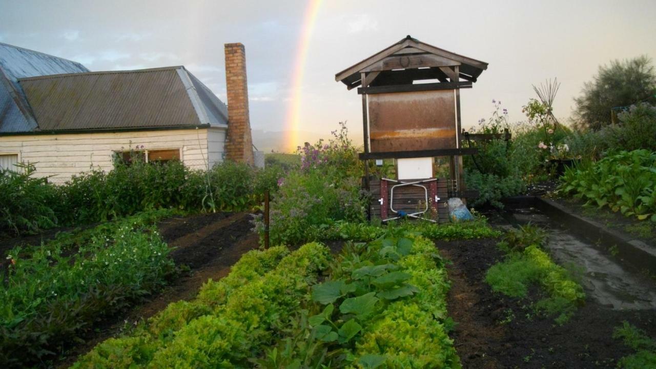 Cherry Top Farmstay - Boutique Eco Village Lilydale Kültér fotó
