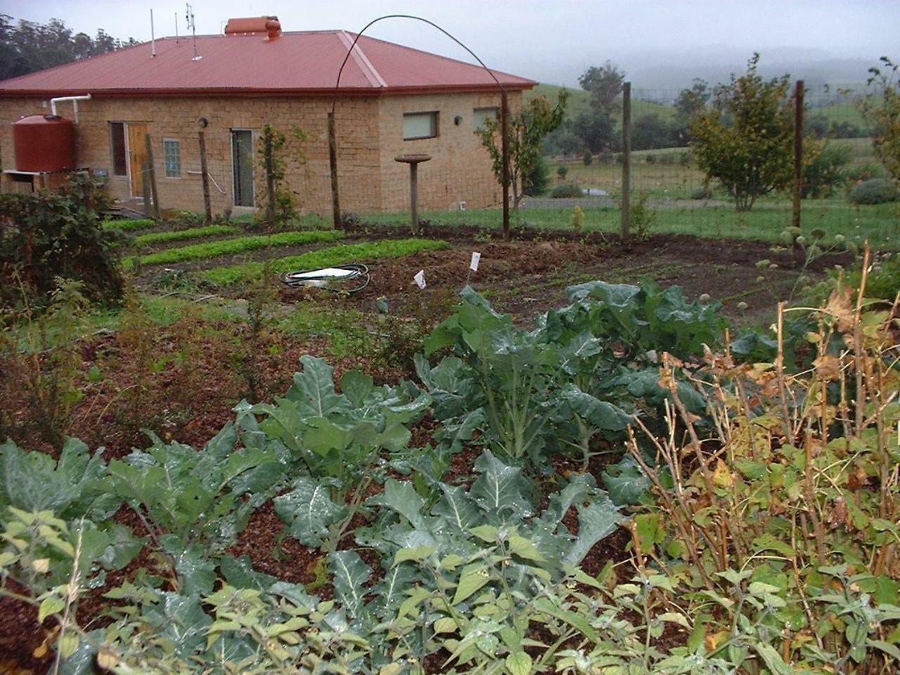 Cherry Top Farmstay - Boutique Eco Village Lilydale Kültér fotó
